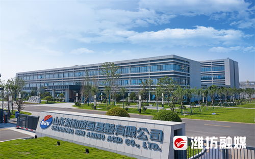 濰觀 鍛造濰坊軟實力③ 讓良好營商環(huán)境成為迸發(fā)生產(chǎn)力的沃土